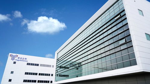 2019上海區(qū)域經(jīng)濟觀察 新舊動能轉(zhuǎn)換關(guān)鍵期,新興產(chǎn)業(yè)步入 起飛通道